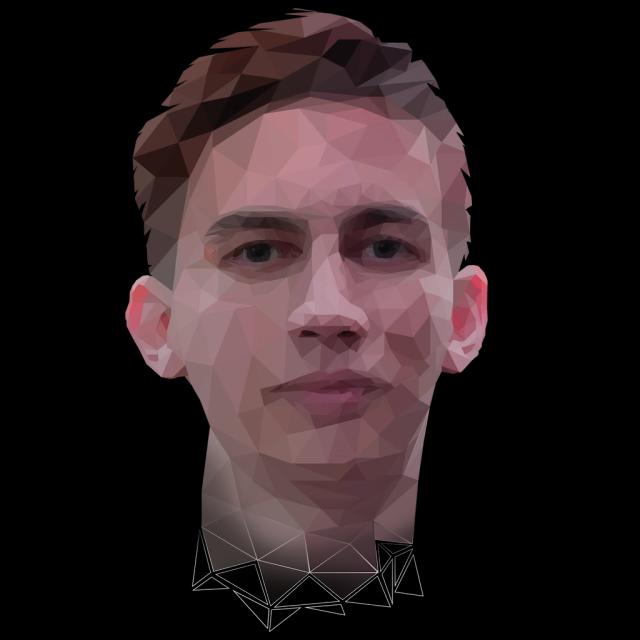 My low poly photo
